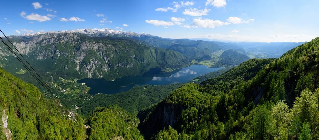 Penzion Vila Bistrica Bohinjska Bistrica Extérieur photo