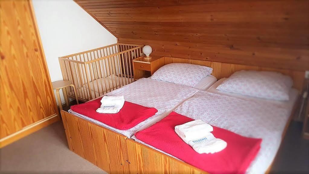Penzion Vila Bistrica Bohinjska Bistrica Extérieur photo